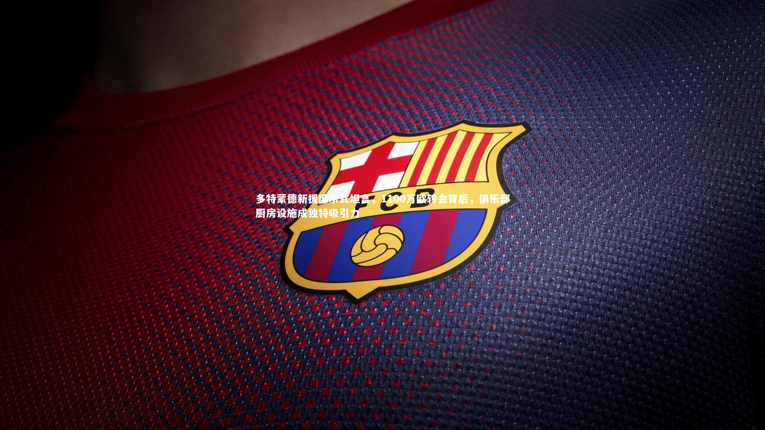 多特蒙德新援席尔瓦坦言，1100万欧转会背后，俱乐部厨房设施成独特吸引力